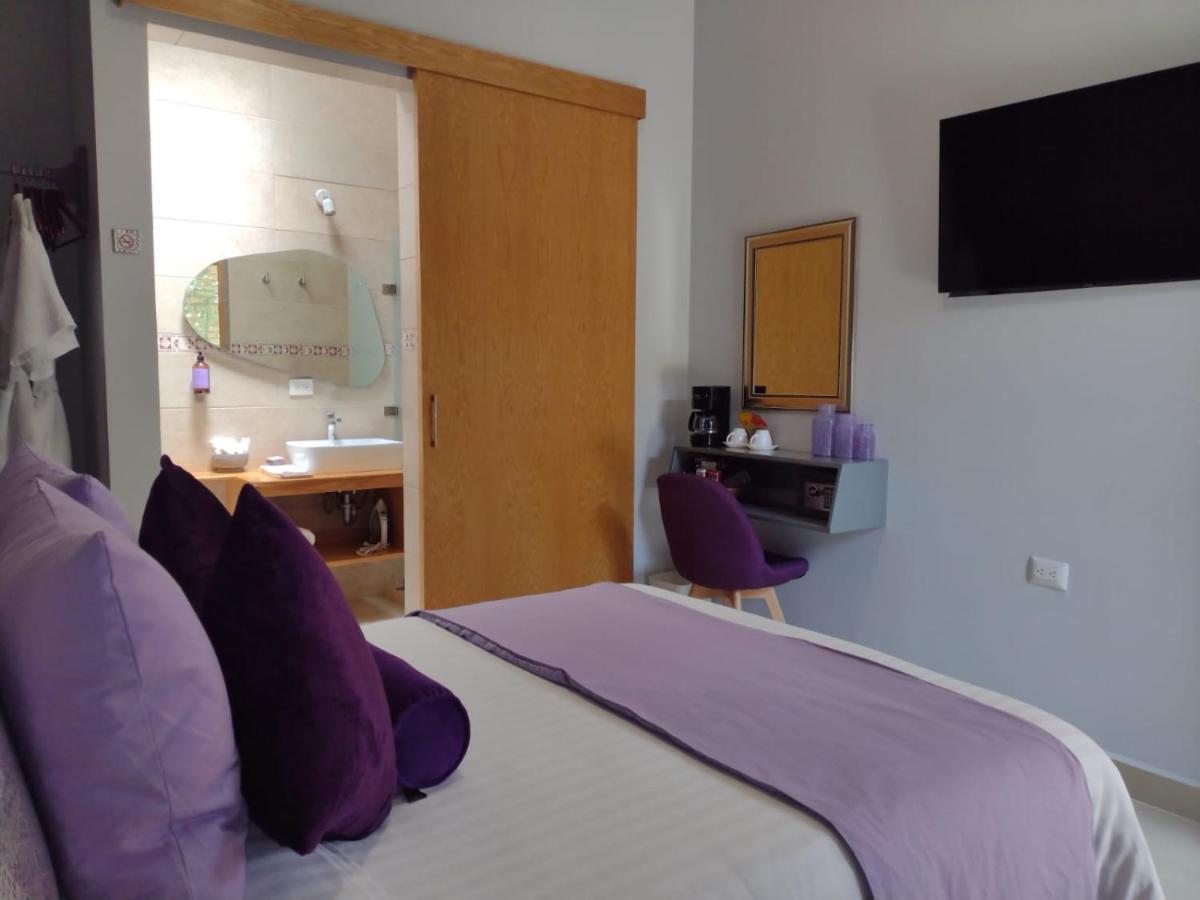 Arcosodi Hotel Boutique Oaxaca Exteriér fotografie